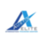 Austin Elite.jpg