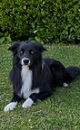 file_000000009e54720ab60576d3b8a173e7.png