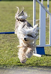 IMG-20260504-WA0000.jpg