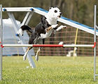 IMG-20260508-WA0004.jpg