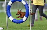 IMG-20260504-WA0004.jpg