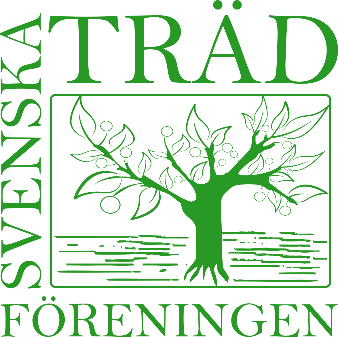 Svenska-Trädföreningen medlem arborist kullaträd