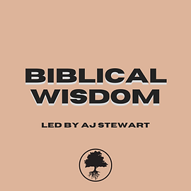 BIBLICAL WISDOM.png