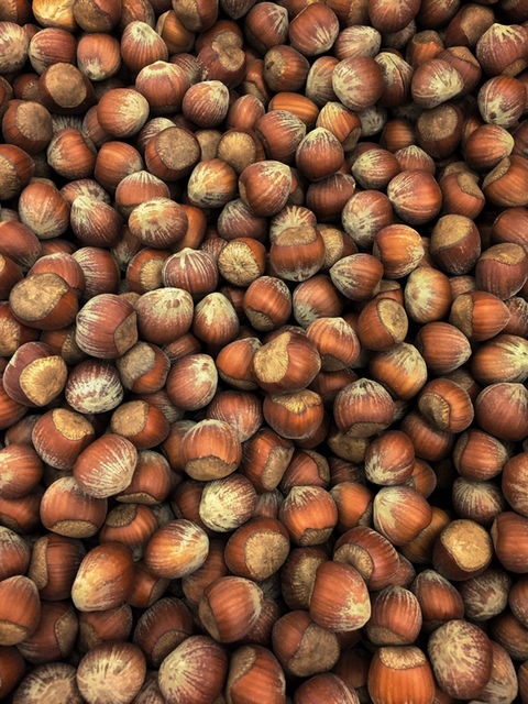 Close up of a bunch of hazel nuts