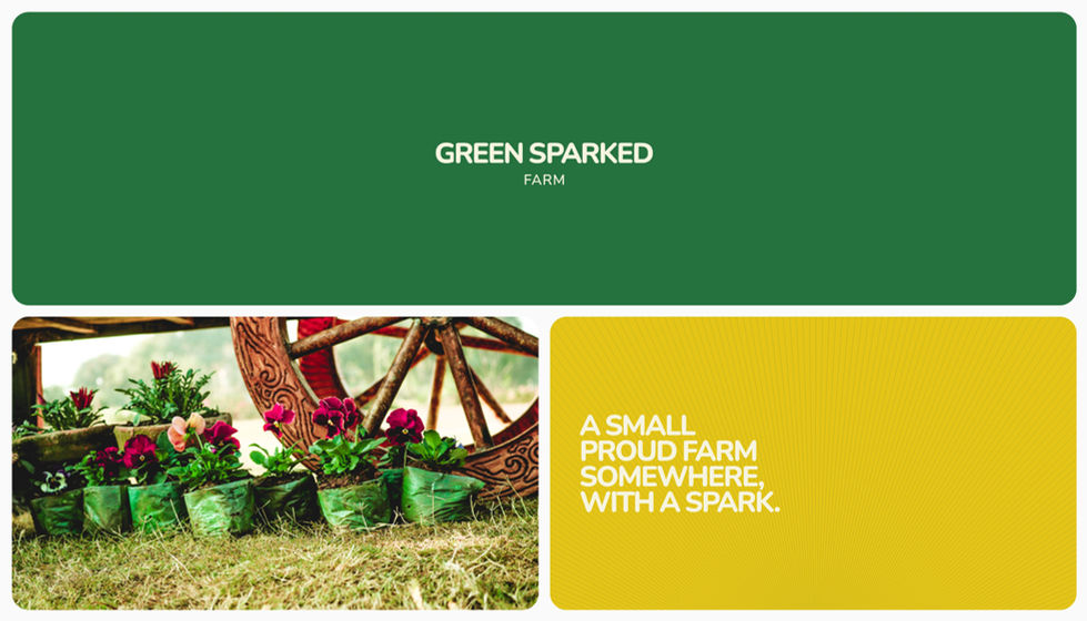 Visual identity design