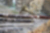 AdelanteWinds-37.jpg