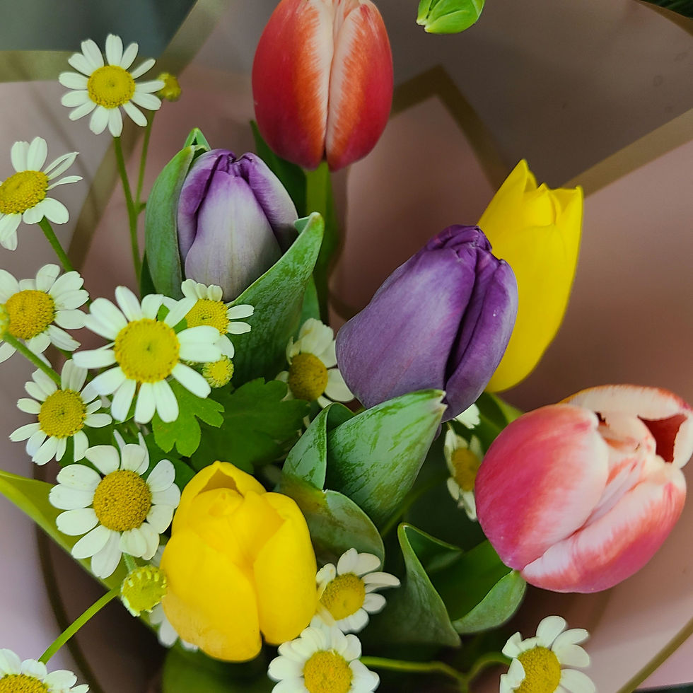 Tulips in assorted colors with chamomile