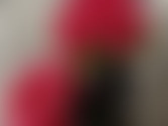 Wedding Spotlight: Johnelle & Michael