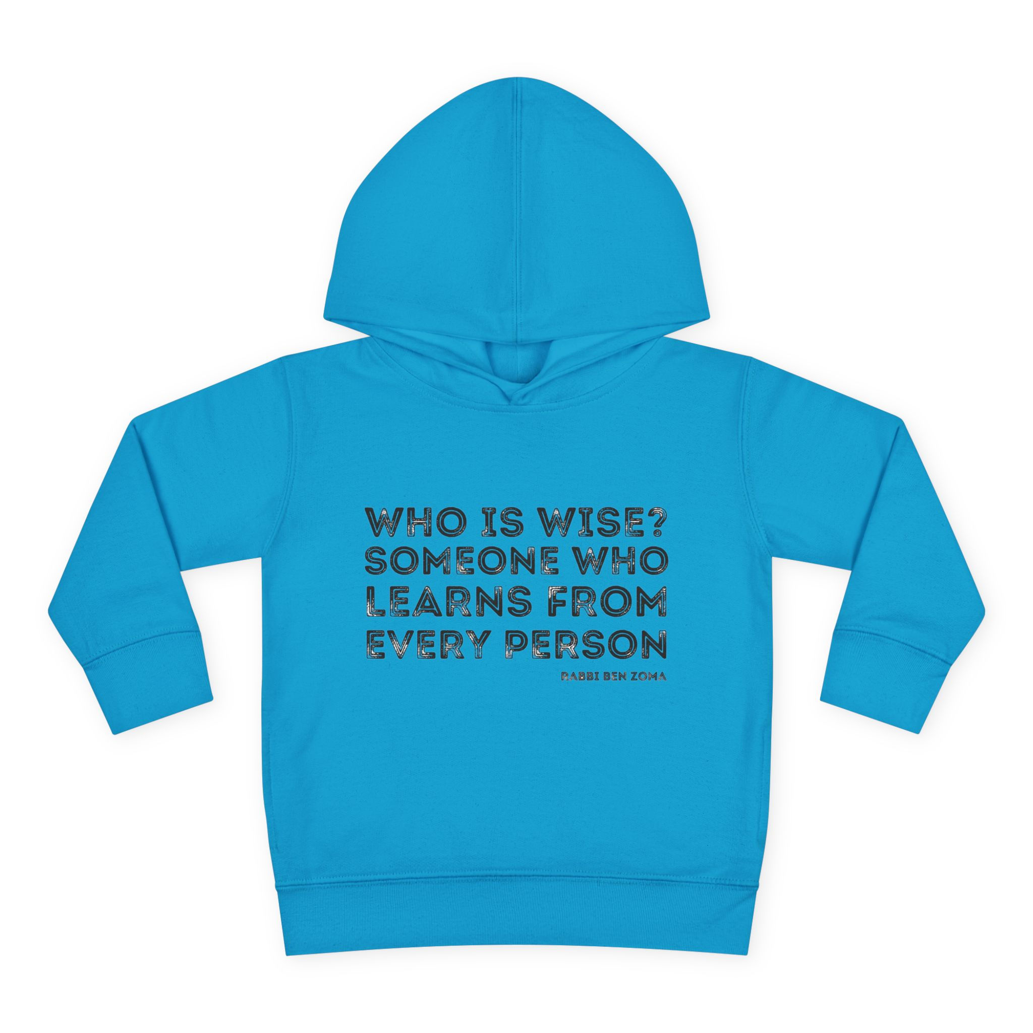 "Who is Wise?" Toddler Pullover Fleece Hoodie