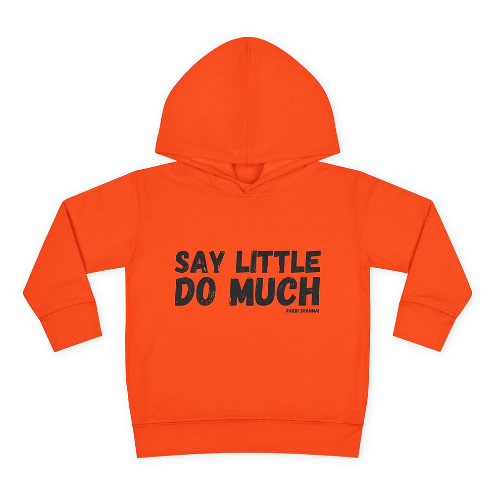 "Say Little, Do Much" Toddler Pullover Fleece Hoodie