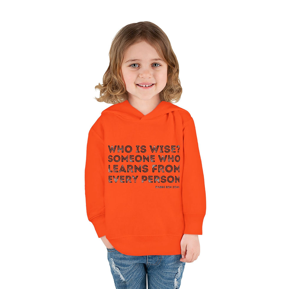 Thumbnail: "Who is Wise?" Toddler Pullover Fleece Hoodie