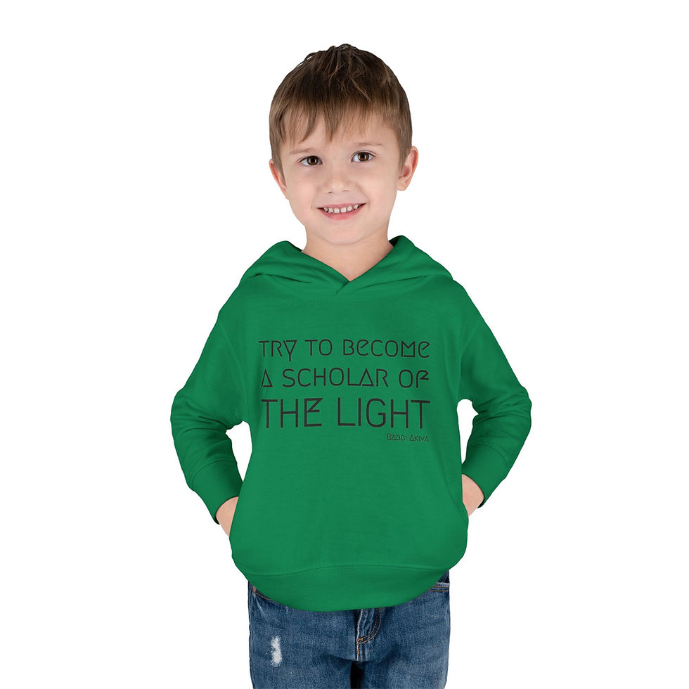 Thumbnail: "Scholar of the Light" Toddler Pullover Fleece Hoodie