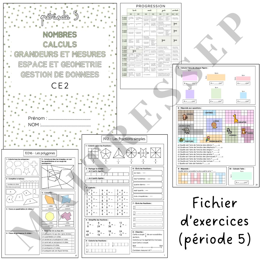 P5 - Fichier d'exercices (mathématiques) CE2 & CM1