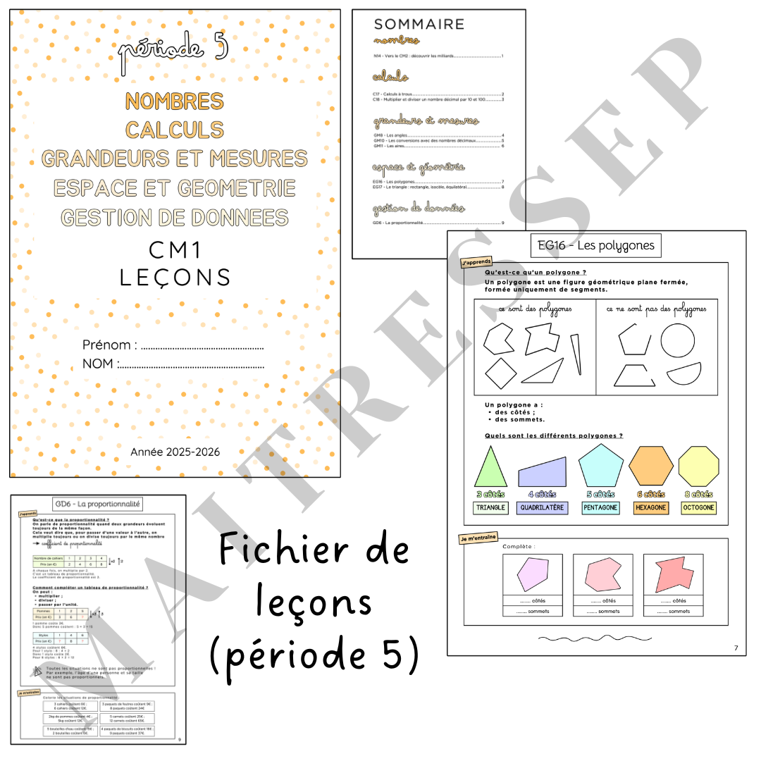 P5 - Fichier de leçons (mathématiques) CE2 & CM1