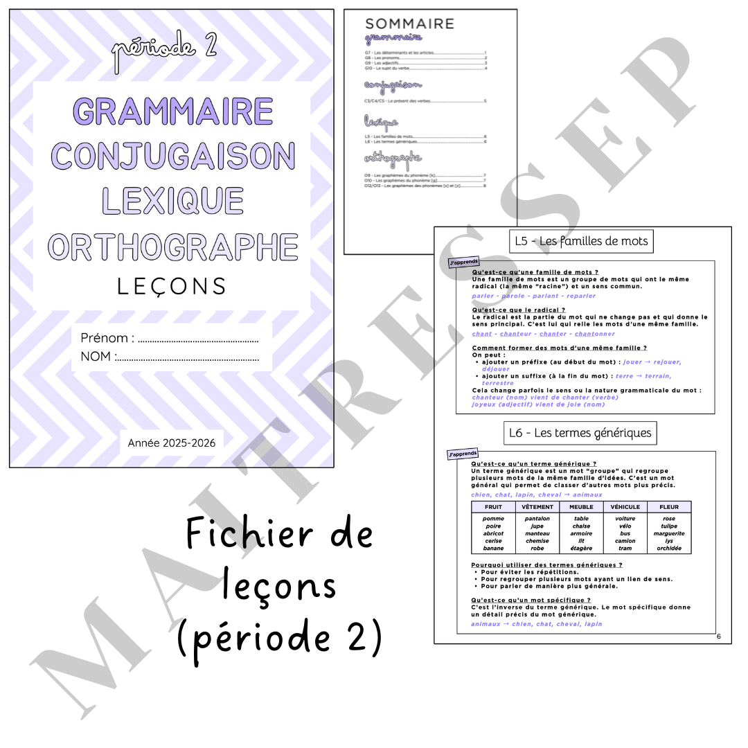 P2 - Fichier de leçons (français) CE2 & CM1