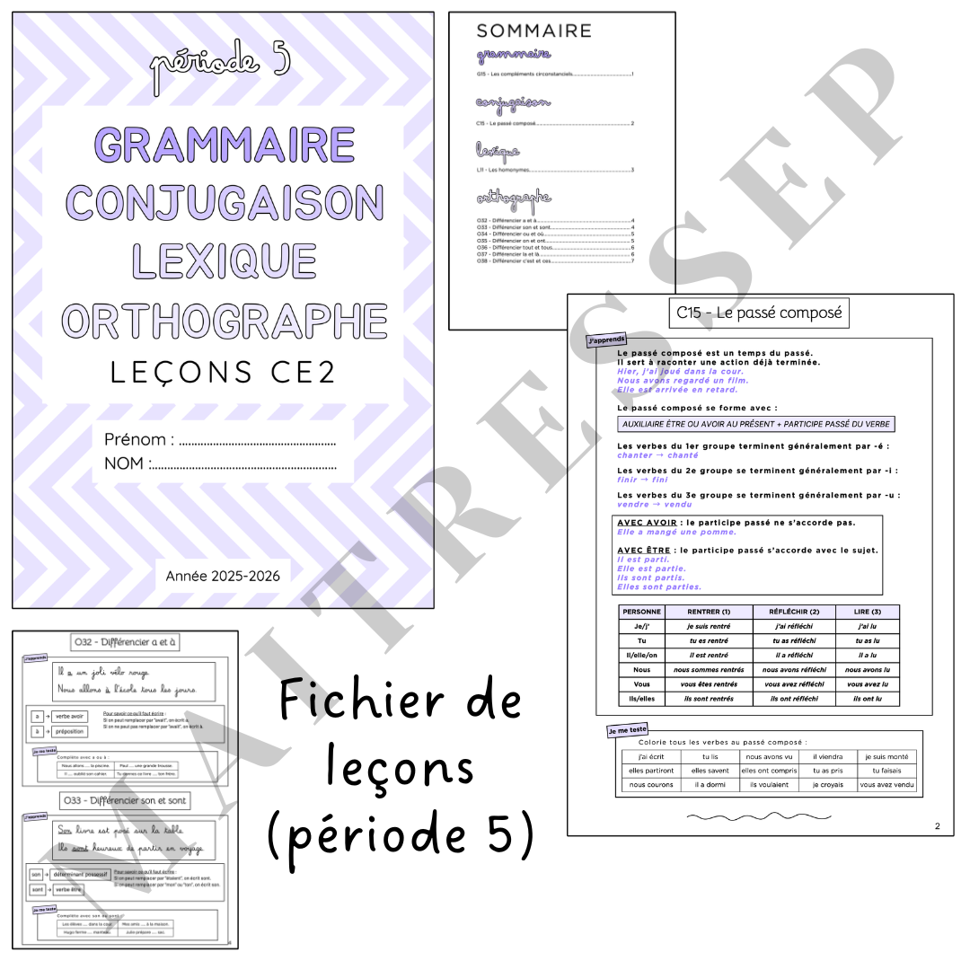P5 - Fichier de leçons (français) CE2 & CM1