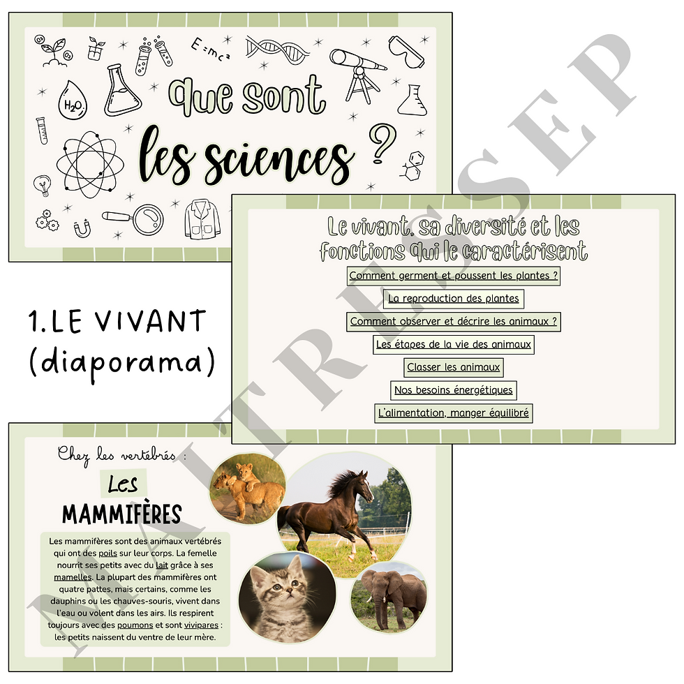 DIAPORAMA SCIENCES (INTRO + LE VIVANT)