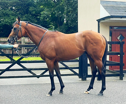 Magnum Force Standing Photo.tif