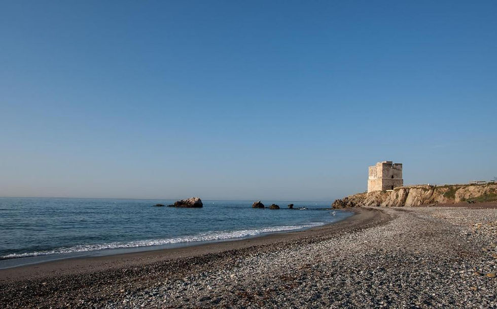 Vista costera de Casares Costa con propiedades junto a la playa