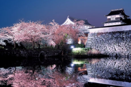 fukuokacastle-small.jpg