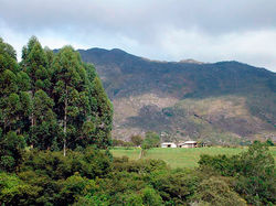 Vista pra Serra