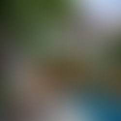 Key Ways Premium Property Management Protects Landlord Interests in Kuala Lumpur & Selangor