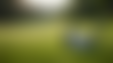 The Ultimate Grady Golf Executive Game-Improvement Irons