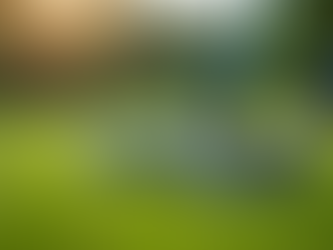 Beginner's Guide to Golf Success