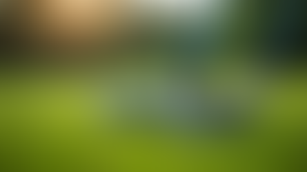 Beginner's Guide to Golf Success