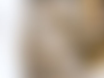 מעקה מיתרים כל מה שרציתם לדעת