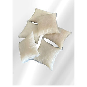 Rice Cake (2pcs)