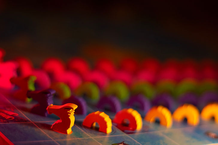 Seedrachen 5.jpg