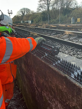 WhatsApp Image 2026-02-04 at 12.29.35.jpeg