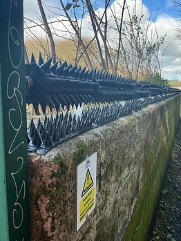 WhatsApp Image 2026-02-04 at 12.33_edite