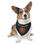 Thumbnail: Pet Bandana Collar