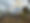B102EACE-EB70-4C32-83B8-18EB0F0708B0.jpeg