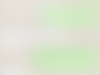 1st January 2019 - The Mini drolia experience!