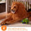 Thumbnail: Melissa & Doug Giant Lion - Lifelike Stuffed Animal (over 6 feet long)