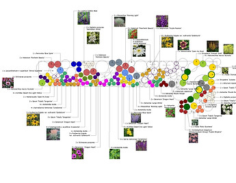 Concept Planting Plan Herbaceous 2.jpg