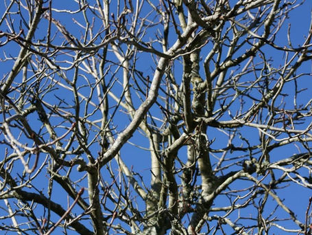 Thinking on my Dad today