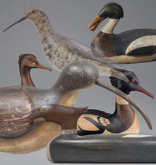 Collaged Images Decoys.jpeg