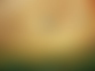 The Elephant & the Rope ~ It's all about what we CHOOSE to believe.