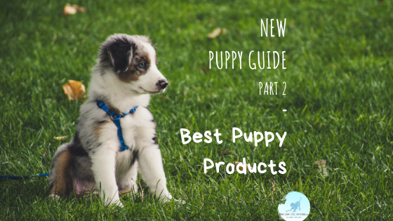 best puppy products