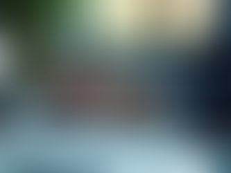 Maximize Profits with Analytic Business Consulting