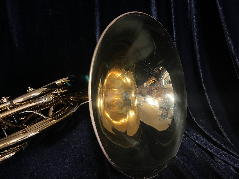 Thumbnail: Beautiful King 2269 Double French Horn