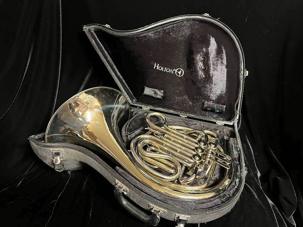 Thumbnail: Holton H179 Double Horn - Beautiful, and Great Player!
