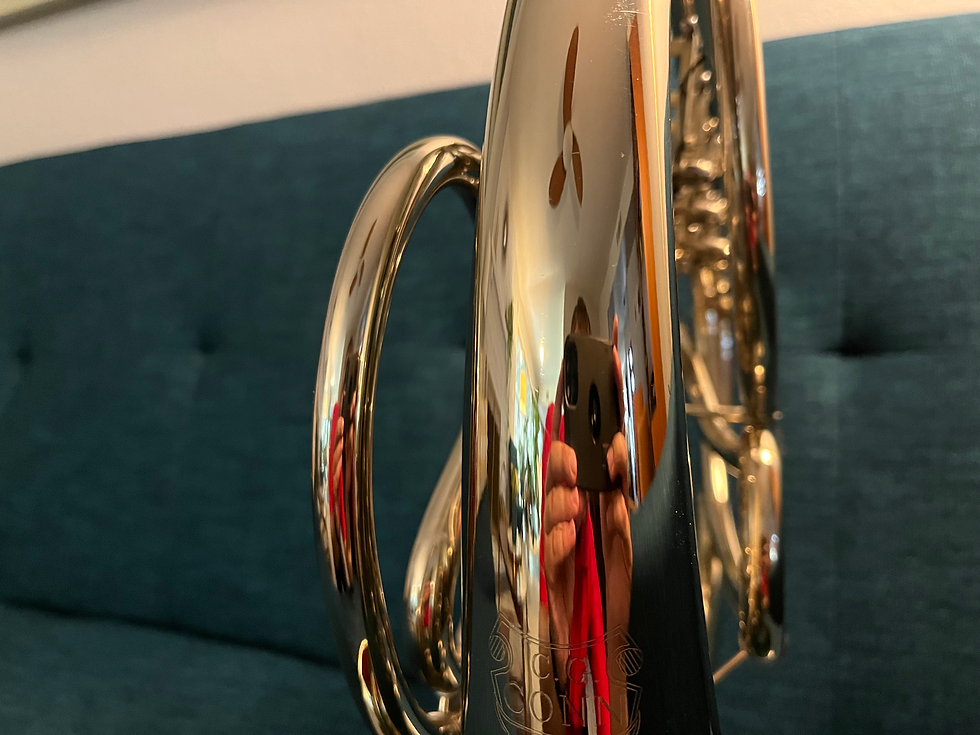 Thumbnail: Beautiful Conn 8D Double French Horn SN 947175