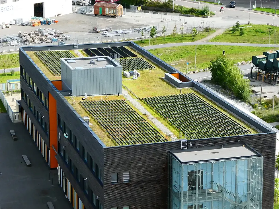 Oslo's first green roof with vertical Panels