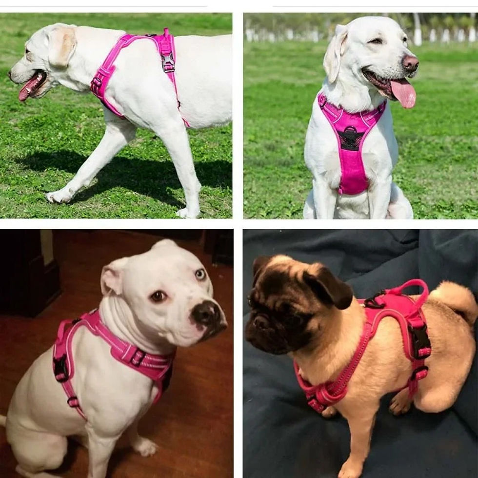 Thumbnail: Pet Dog Harness Reflective Adjustable Breathable Vest Chest Strap for Small Medi