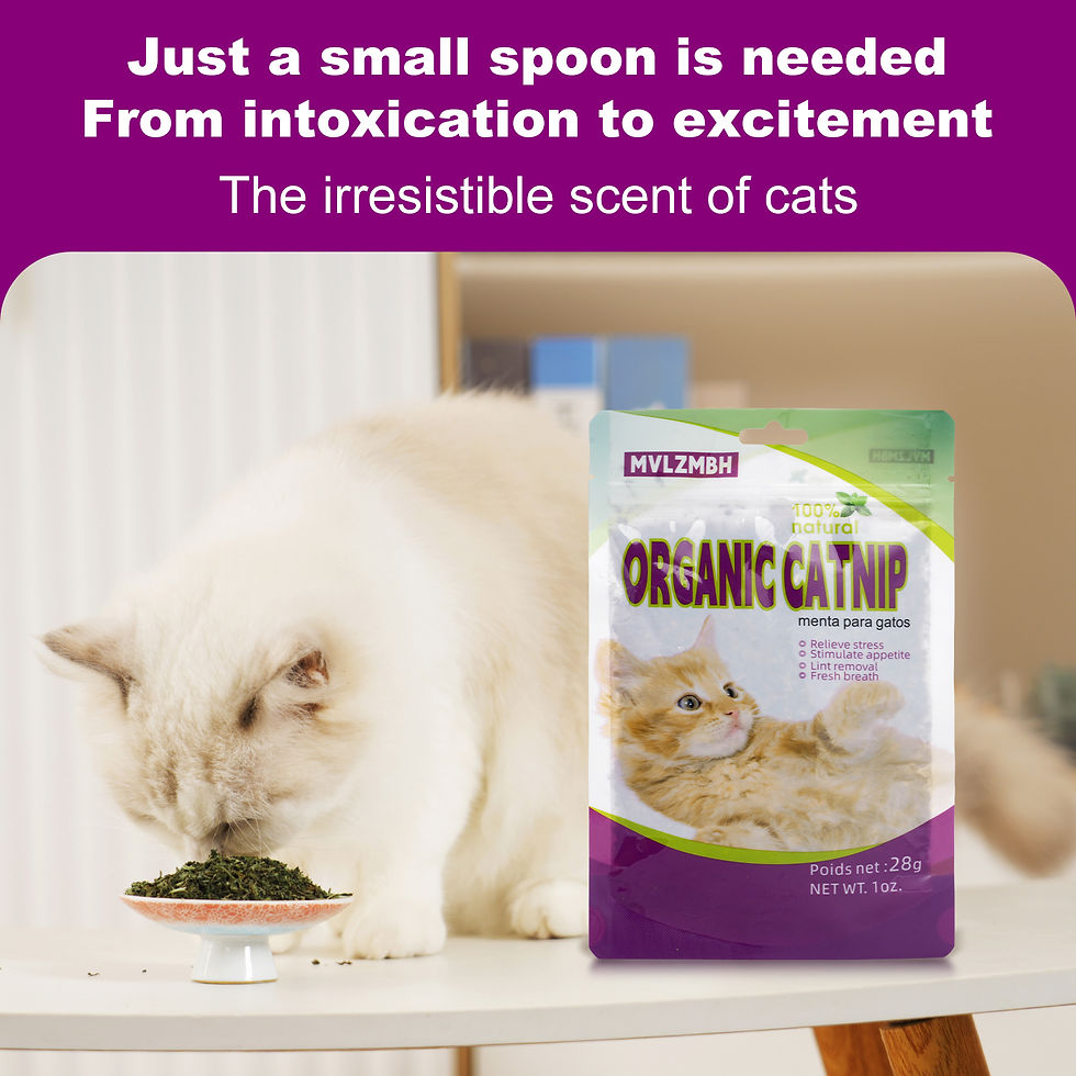 Thumbnail: Organic 100% Natural High Quality Catnip Cattle Grass Mint Taste Funny Cat Toy N